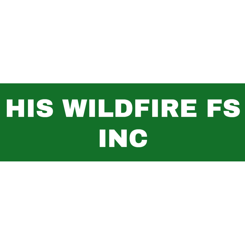 H.I.S. Wildfire - Willy Saari's logo
