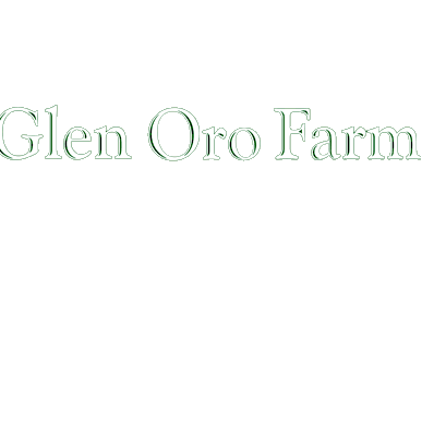 Glen Oro Camping