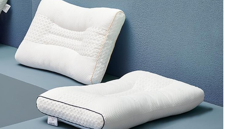 Wise Memory Foam Pillows for Two (Value: $320)