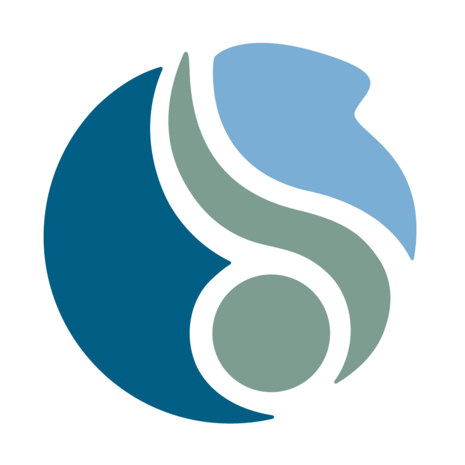 David Suzuki Foundation's Logo
