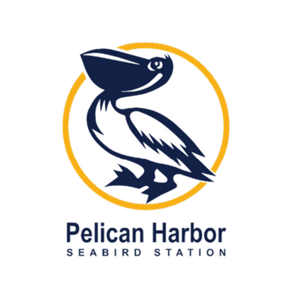 Pelican Harbor Seabird Station's logo